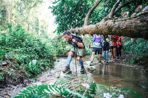 BIB: 
                            <button type="button" onclick="openModal(25476942)" class="btn btn-primary btn-sm float-right btn-popup" data-toggle="modal" data-target=".modal-high-quality">
                        <i class="fas fa-shopping-cart"></i> Add to Cart
                    </button>
                                            <button type="button" onclick="isThisMe(25476942, true)" class="btn btn-success btn-sm float-right btn-popup btn-isme hidden" data-toggle="tooltip" data-placement="bottom" title="นี่คือรูปของคุณใช่ไหม คลิกที่นี่เพื่อเอาเข้าอัลบั้ม">
                        <i class="fas fa-plus"></i> Add to album
                    </button>
                    <button type="button" onclick="isThisMe(25476942, false)" class="btn btn-warning btn-sm float-right btn-popup btn-isnotme hidden">
                        <i class="fas fa-ban"></i> Remove from album
                    </button>